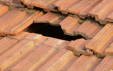 roof repair Leslie